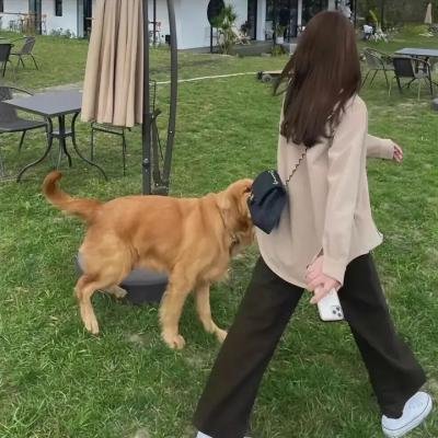 看见台湾